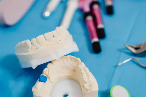 Dental jaw teaching model with instruments on a blue cloth